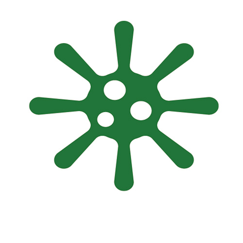 Icon of a virus